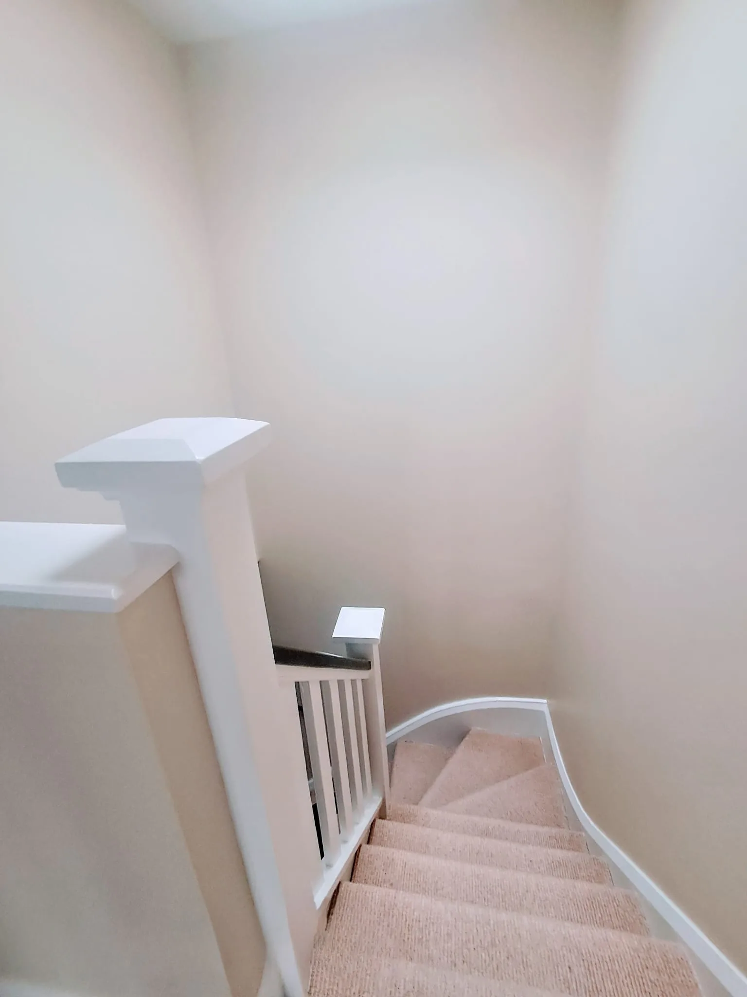 Contemporary staircase with curved white railings