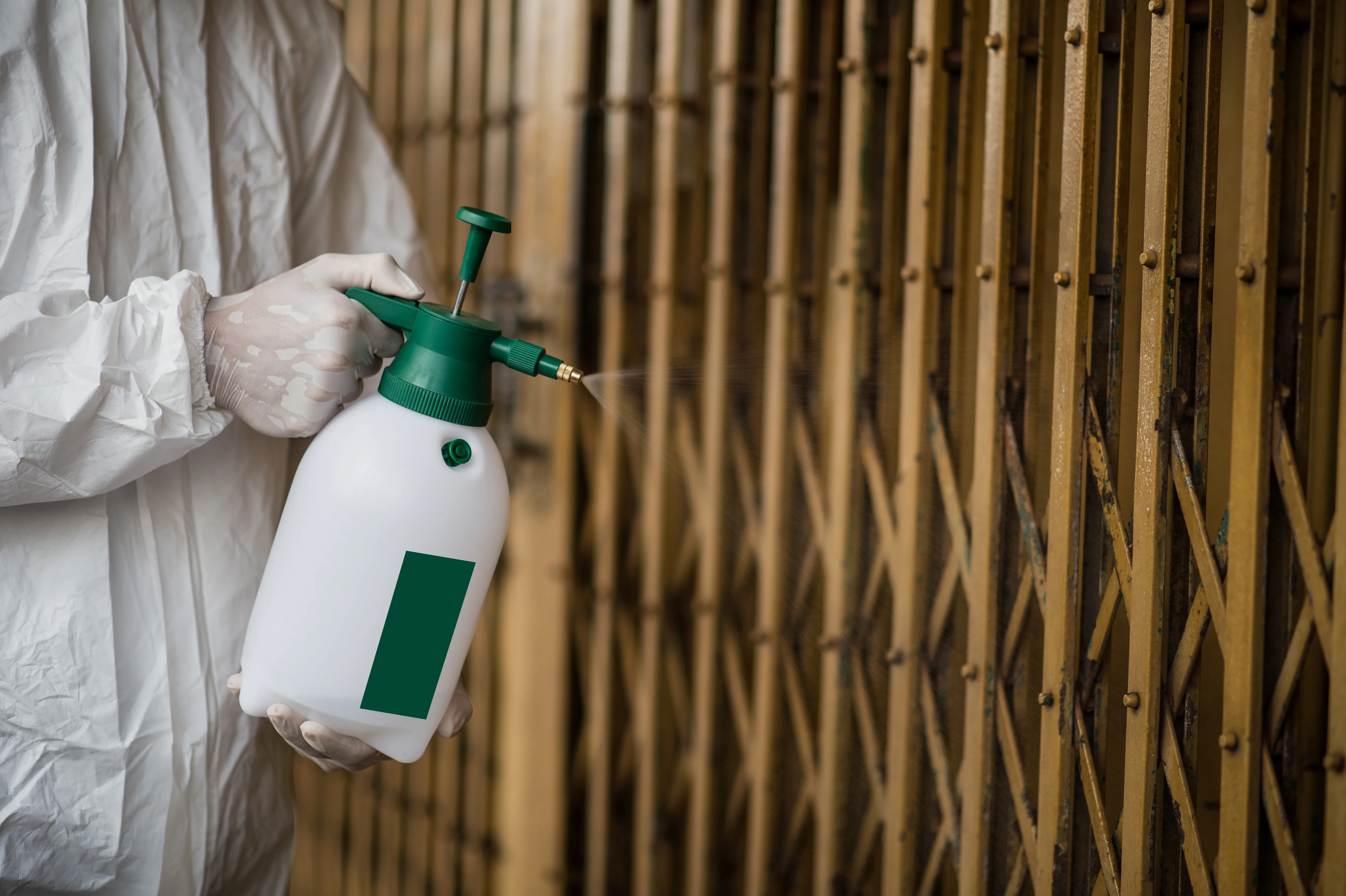 Person in protective gear holding a spray bottle for outdoor painting services
