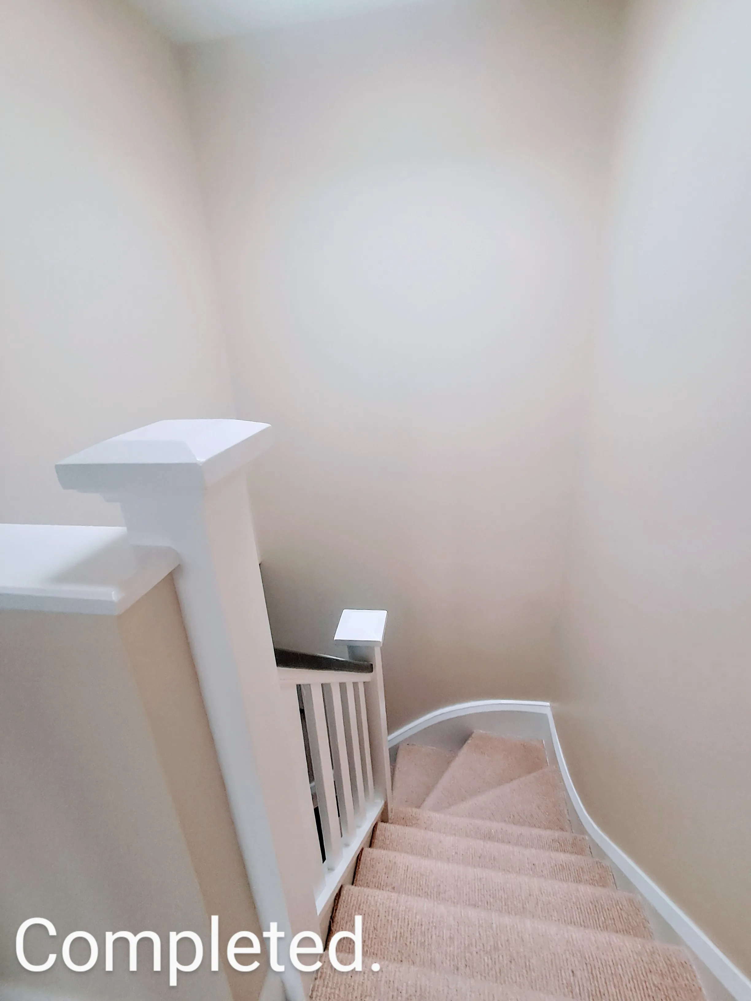 Newly painted staircase with light-colored walls and new carpet, showcasing interior decorating skills