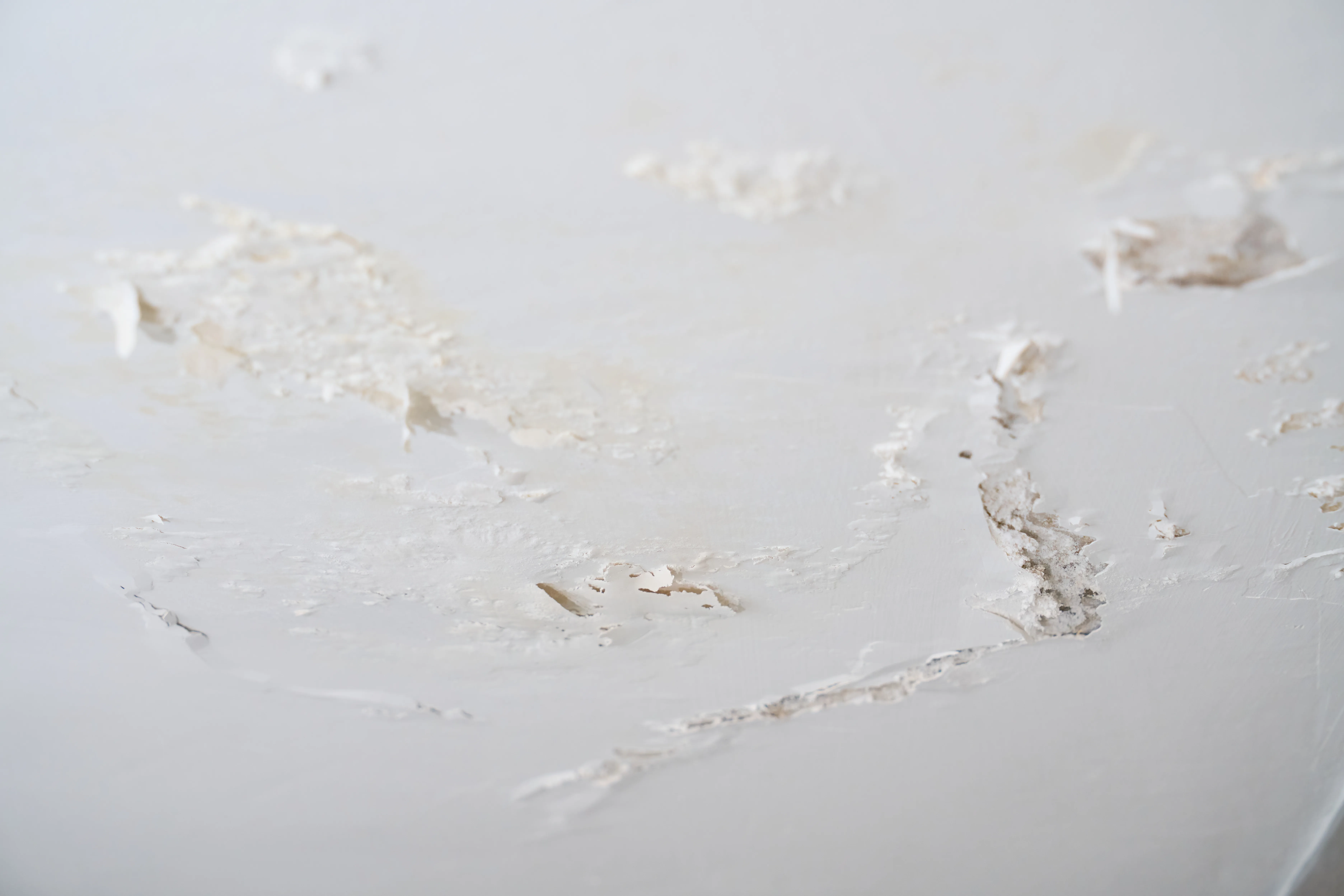 Close-up of a damaged wall surface showing peeling paint and cracks needing repair before redecorating
