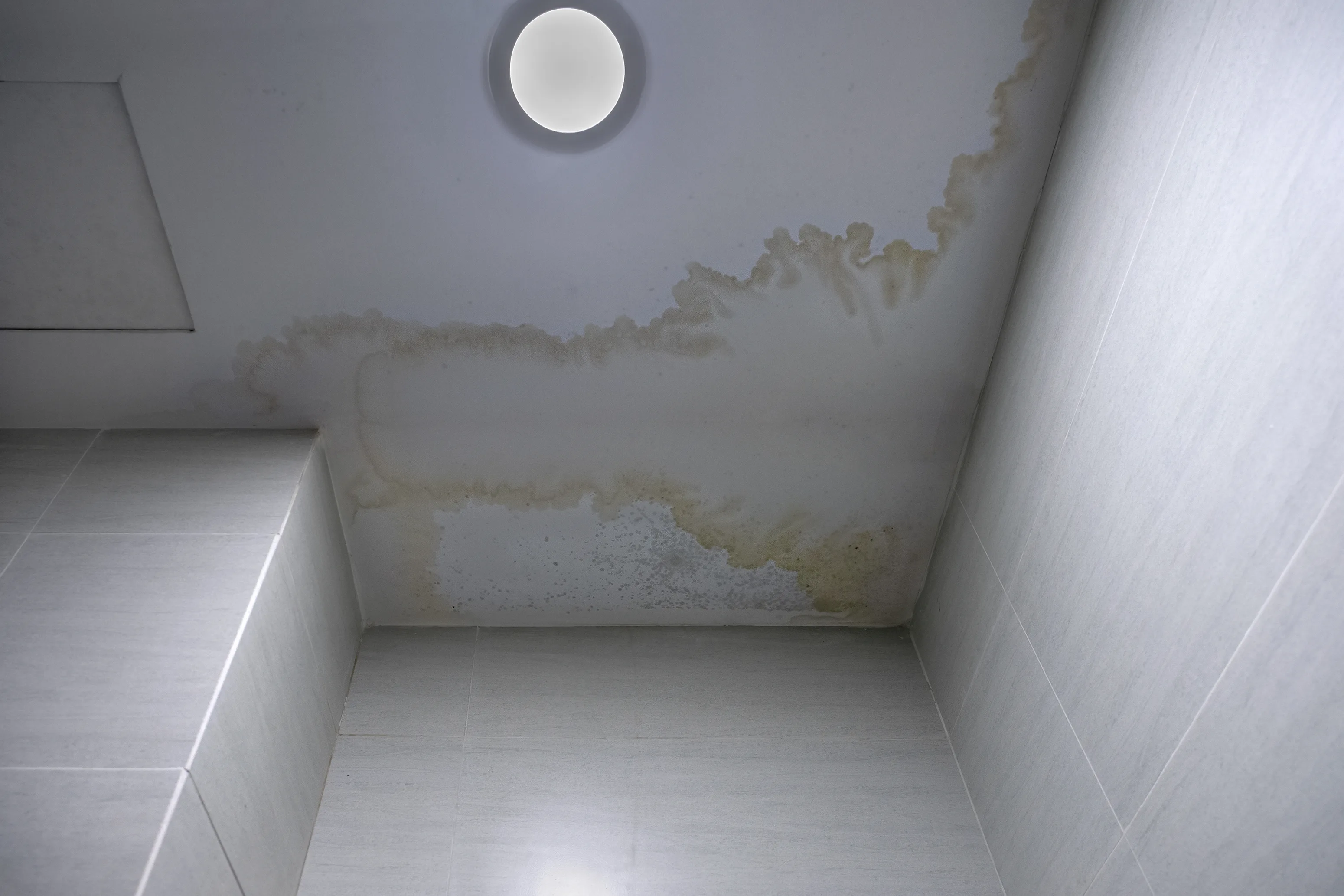Water damage on the ceiling with discoloration, highlighting the need for wall repair and surface preparation