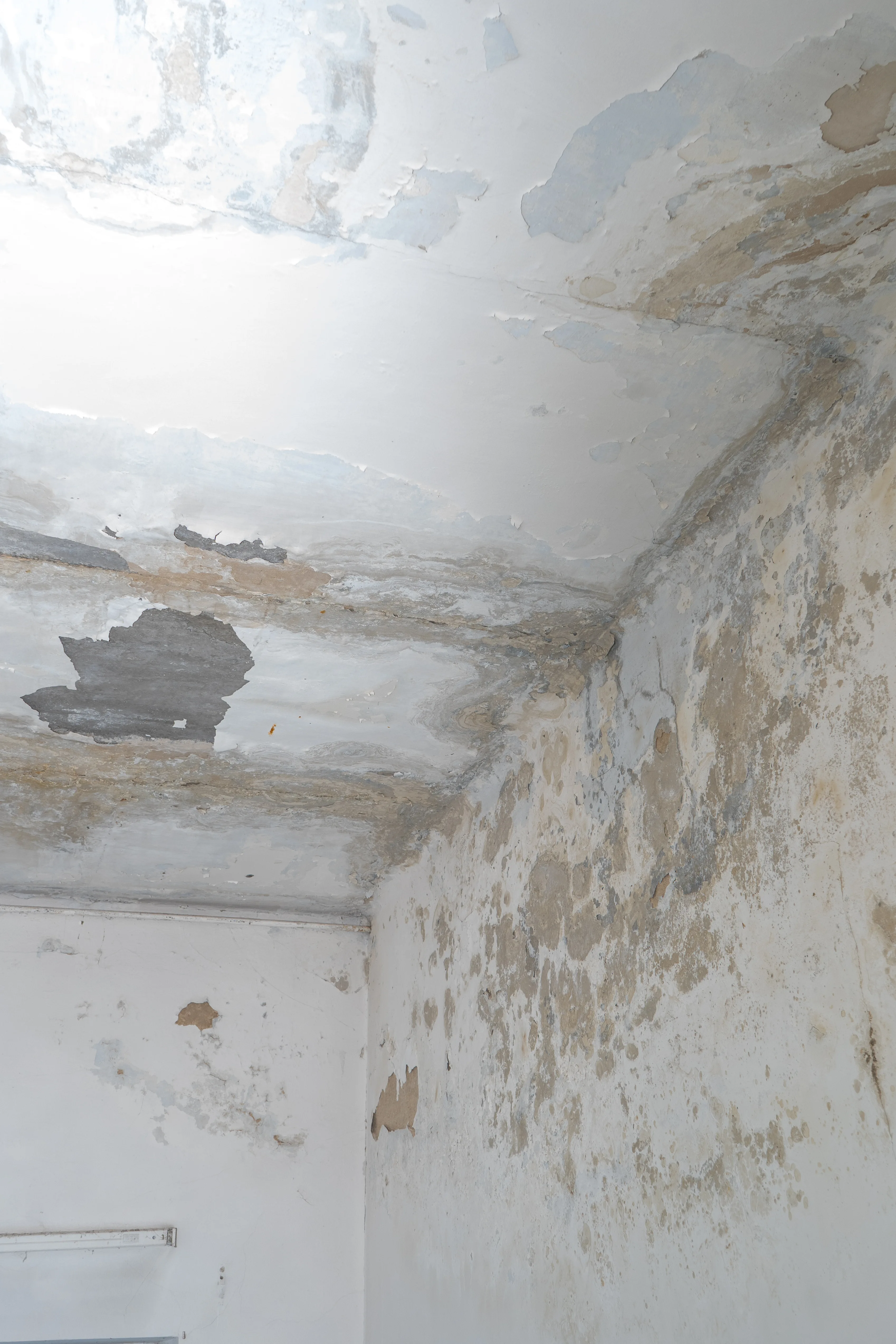 Damaged ceiling and walls with peeling paint, indicating a need for wall repair and painting services