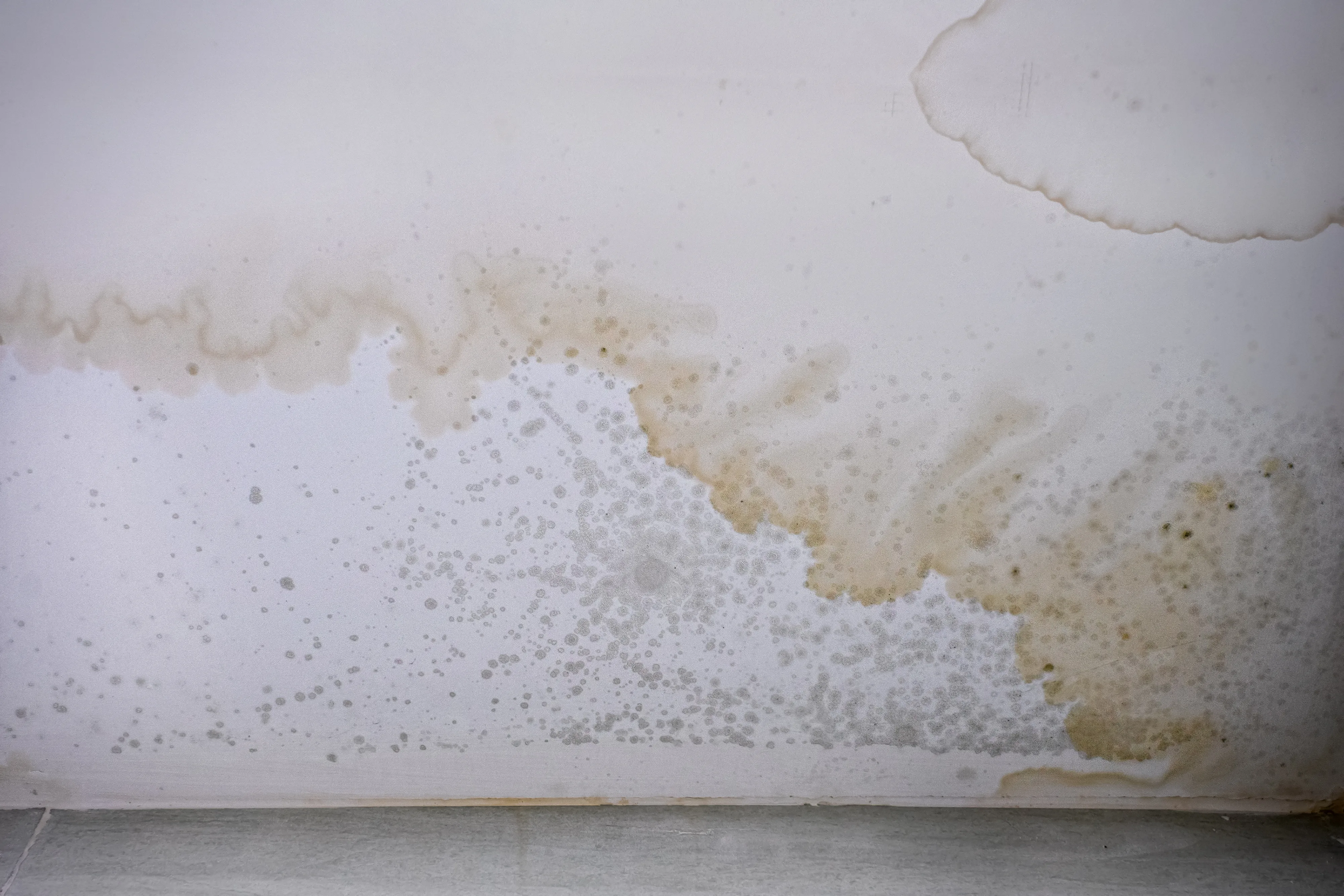 Water damage on a wall showing discoloration and stains, indicating a need for wall repair services