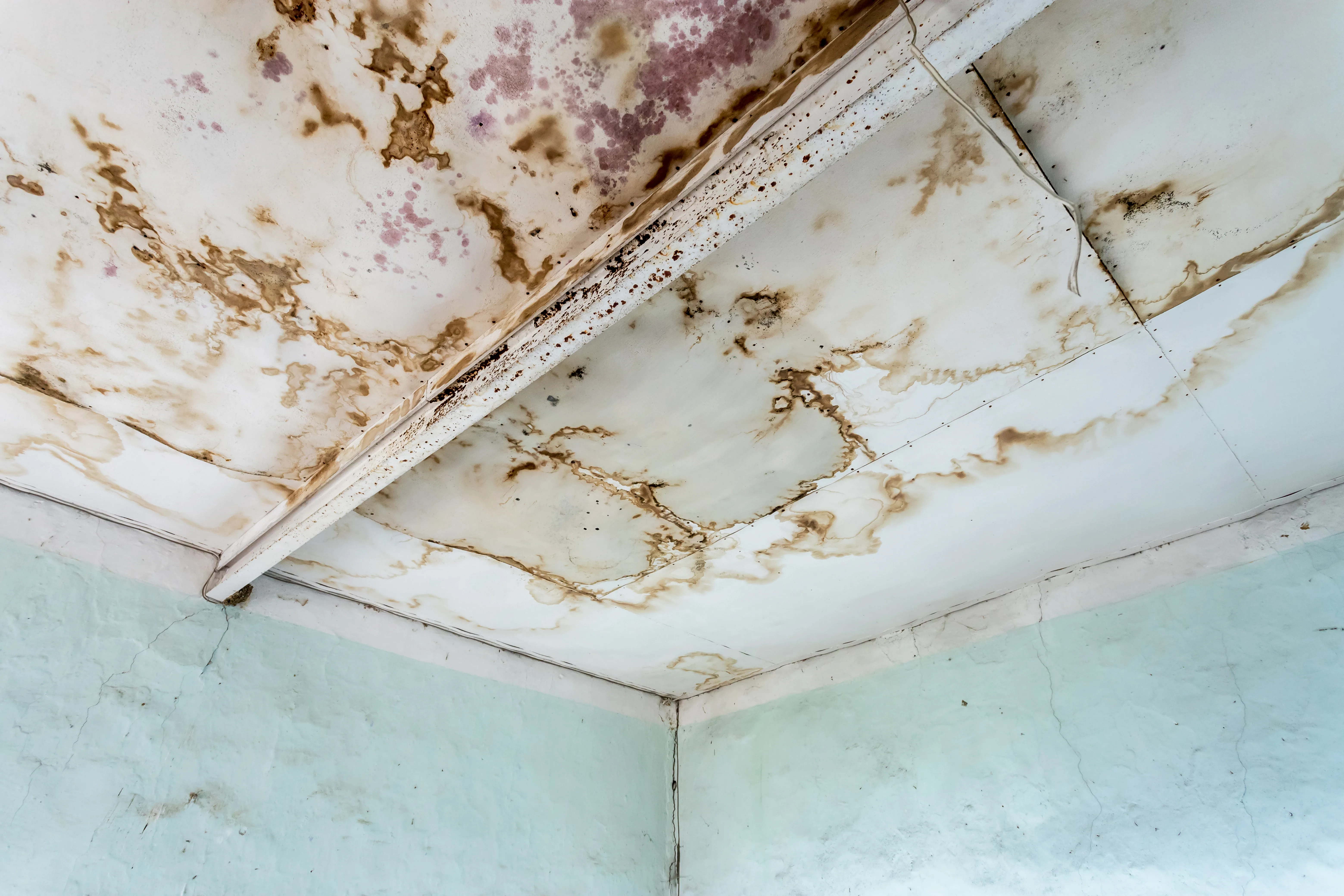 Water damage on ceiling and walls, indicating need for wall repair and property redecoration services